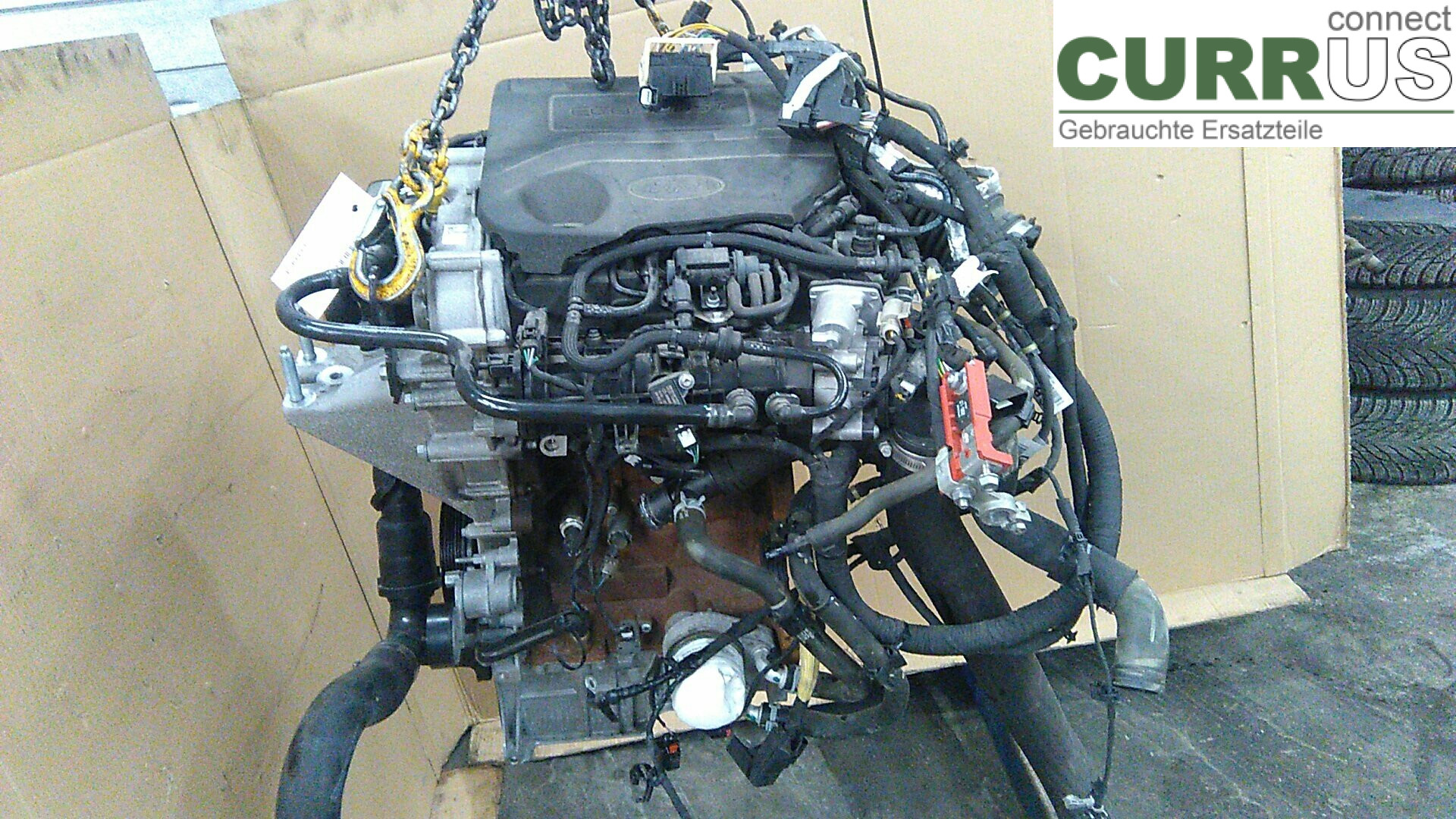  Motor 2463334 1.0TEDC