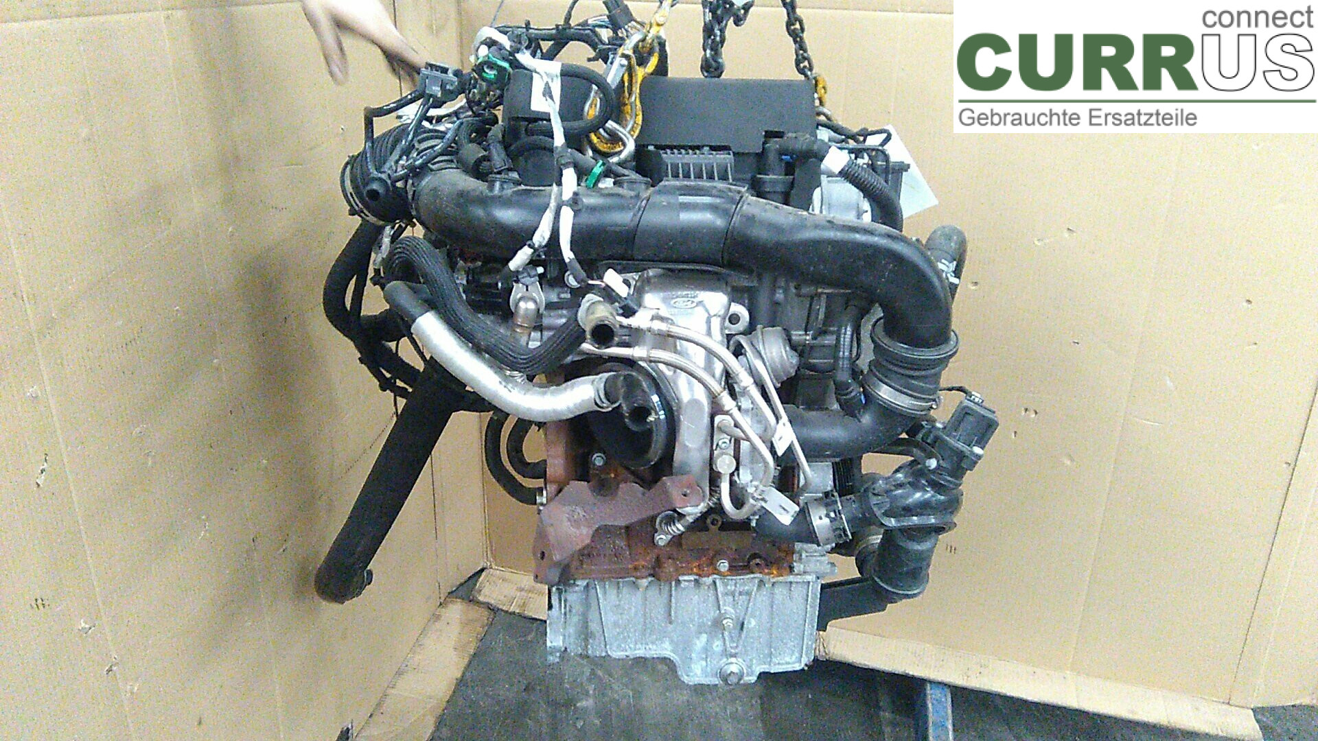  Motor 2463334 1.0TEDC