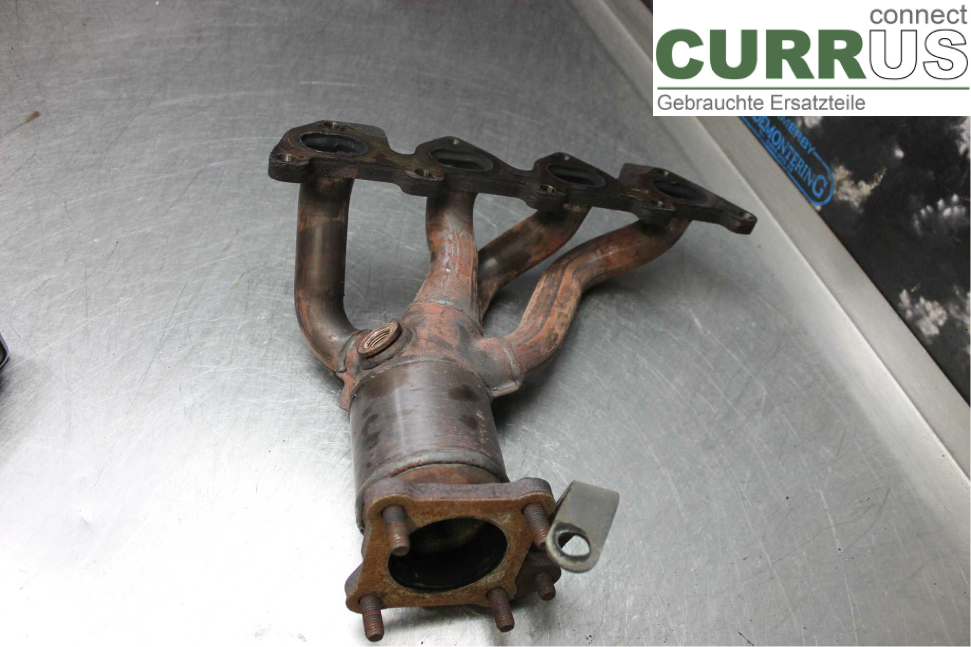 VW GOLF IV     98-06 Katalysator 036253052FX 1,6i/AZD