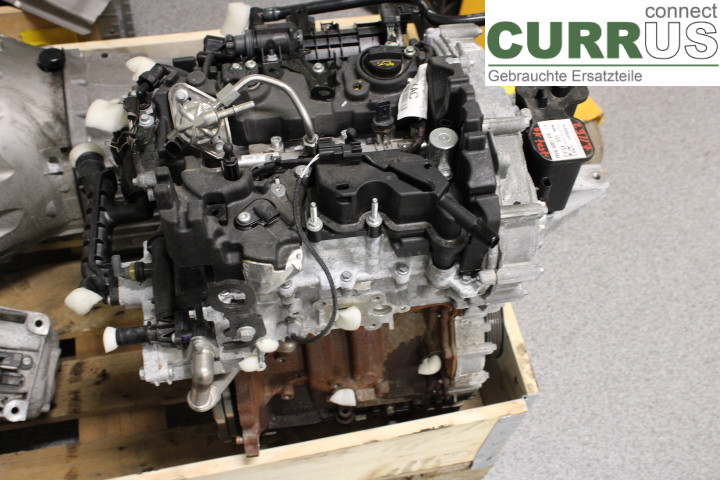 FORD FOCUS 19- Motor 2463334 1.0/B7DA
