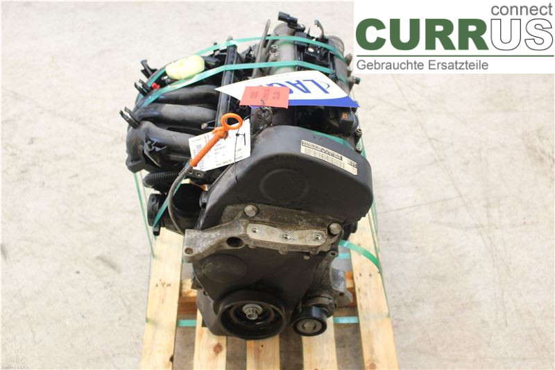 VW POLO       05-09 Motor 036100098QX 1,4/BUD