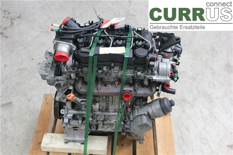 FORD FOCUS     08-11 Engine 1679684 1.6TDCI/G8DD