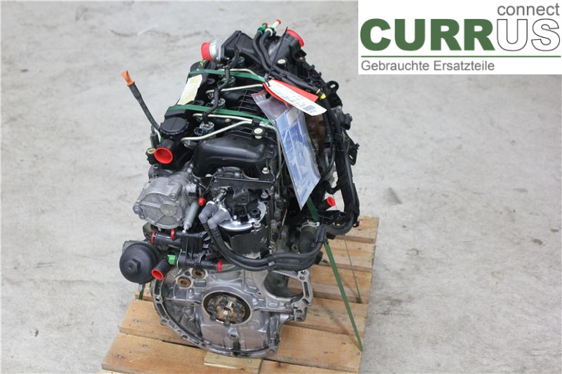 FORD FOCUS     08-11 Engine 1679684 1.6TDCI/G8DD