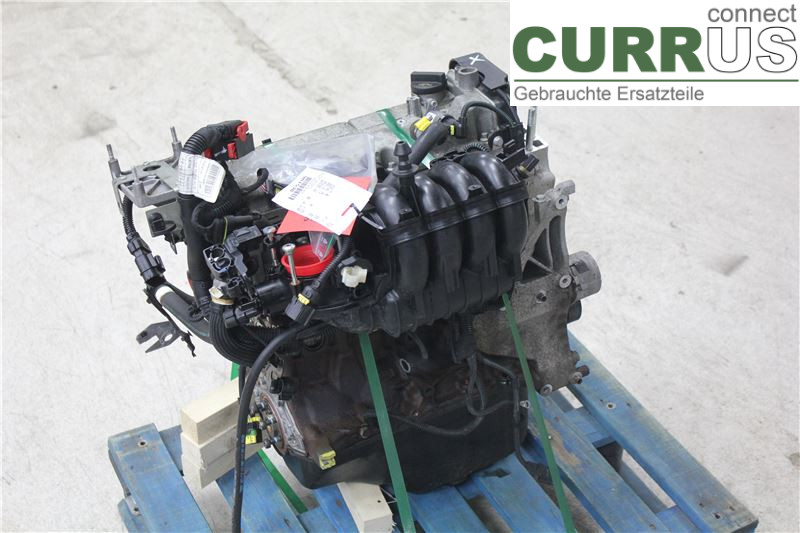 FORD KA   09-16 Motor  AMH