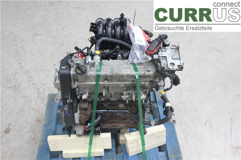 FORD KA   09-16 Motor  AMH