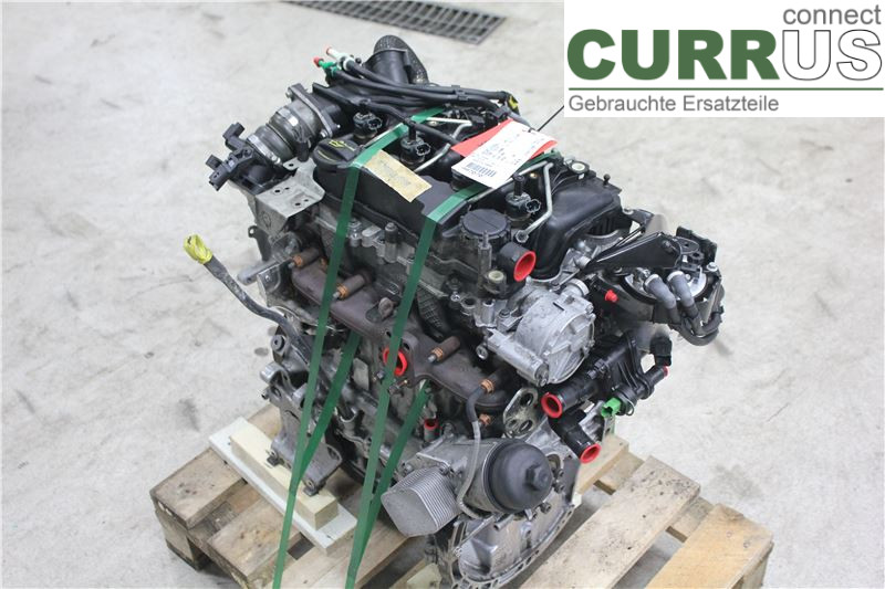 FORD FOCUS     08-11 Engine 1679684 1.6 TDCI ECOnet