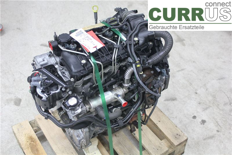 FORD FOCUS     08-11 Engine 1679684 1.6 TDCI ECOnet