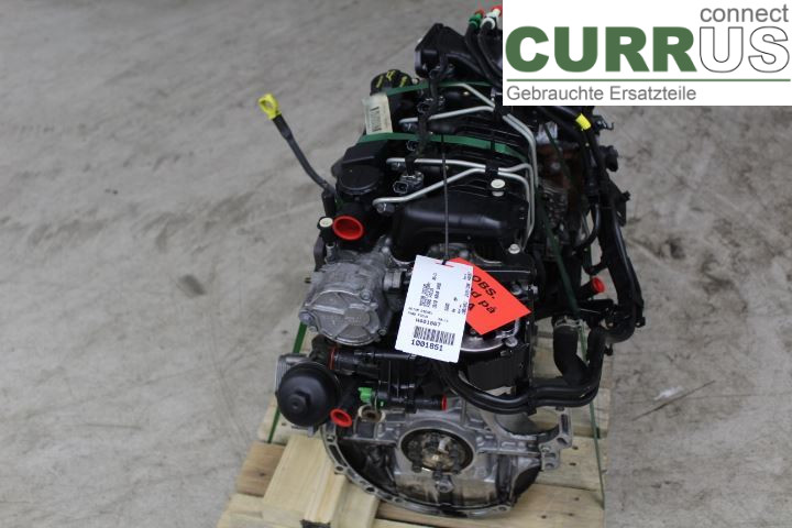 FORD FOCUS     08-11 Engine 1679684 G8DD