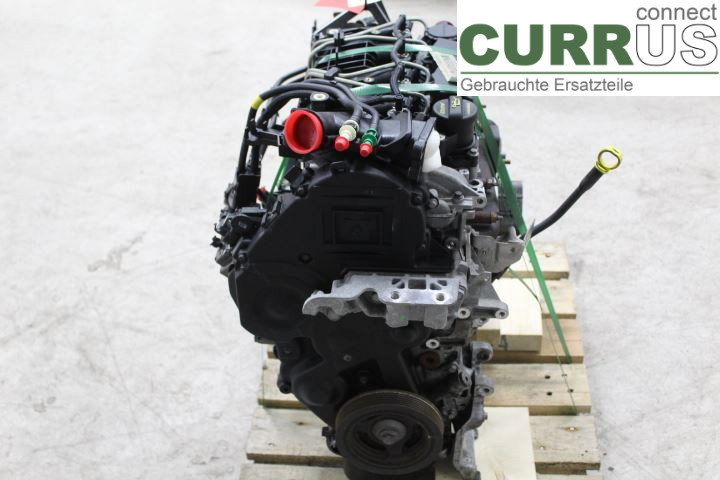 FORD FOCUS     08-11 Engine 1679684 G8DD
