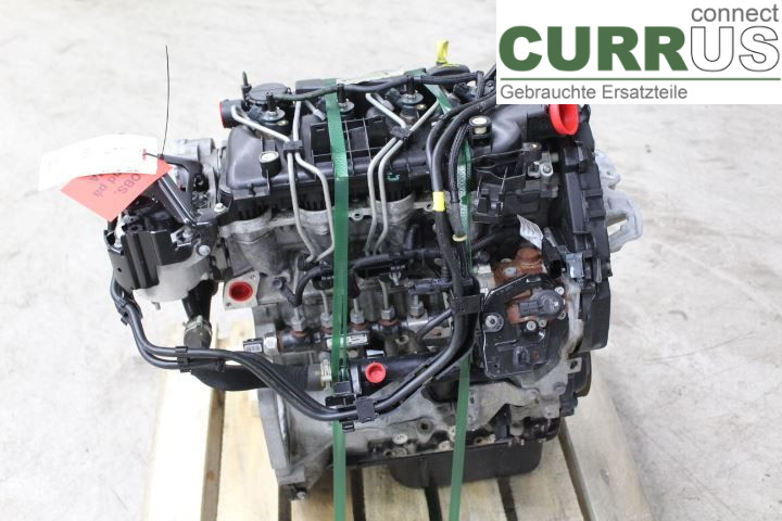 FORD FOCUS     08-11 Engine 1679684 G8DD