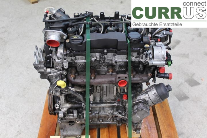 FORD FIESTA     09-12 Engine 1699880 HHJF