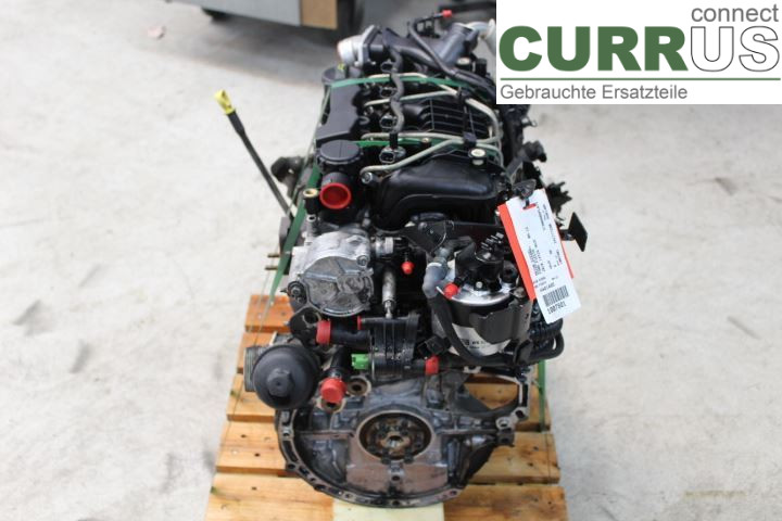 FORD FIESTA     09-12 Engine 1699880 HHJF