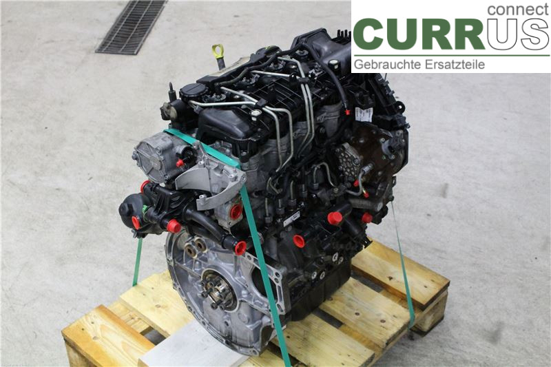 FORD FOCUS     08-11 Engine 1679684 