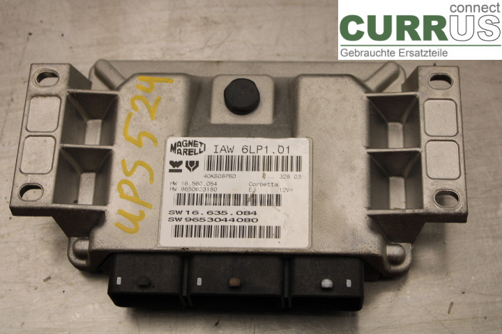 PEUGEOT 307     01-05 Engine Control Unit (ECU) 16635084 2.0i/RFN