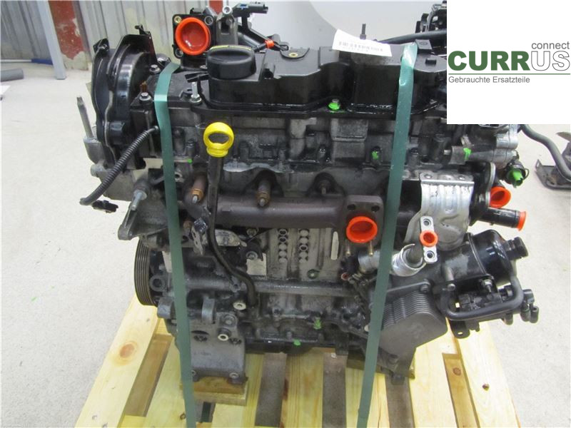 FORD FIESTA     09-12 Motor 1819098 1.4L KVJA