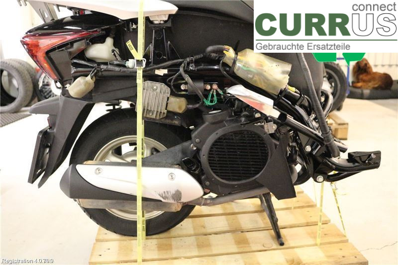 MC HONDA Motor  