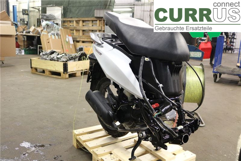 Honda Moped Engine  