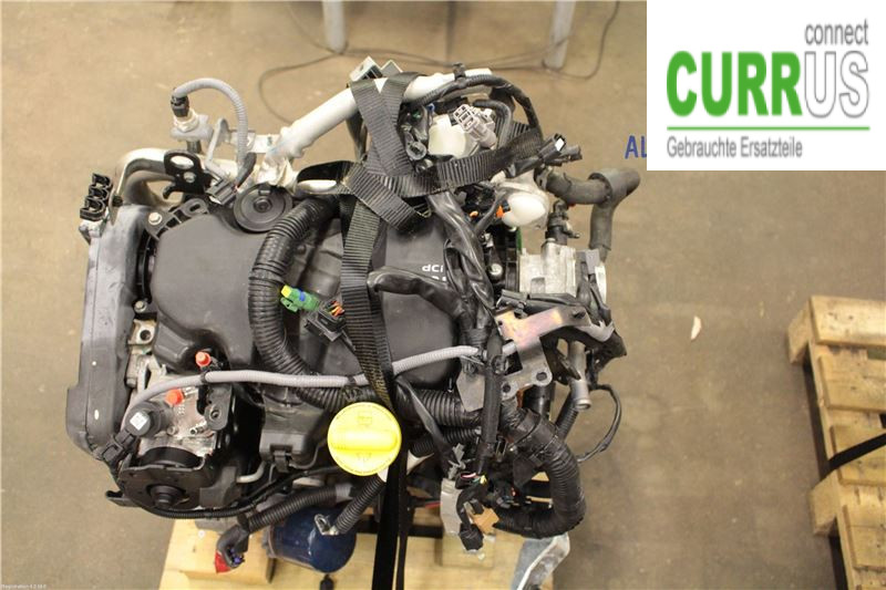 NISSAN NV200 / NV200 COMBI Motor 1010201Q0K 1.5 DCI
