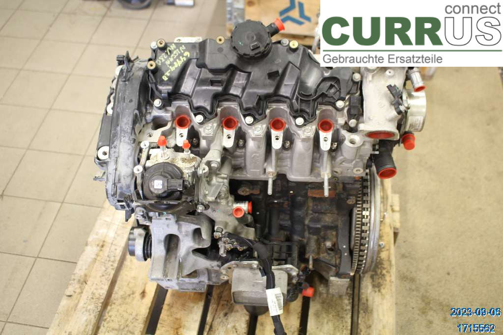 NISSAN NV250 20-22 Motor 1010201Q3E 1,5 DCI