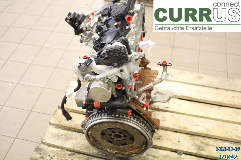 NISSAN NV250 20-22 Motor 1010201Q3E 1,5 DCI