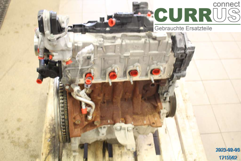 NISSAN NV250 20-22 Motor 1010201Q3E 1,5 DCI